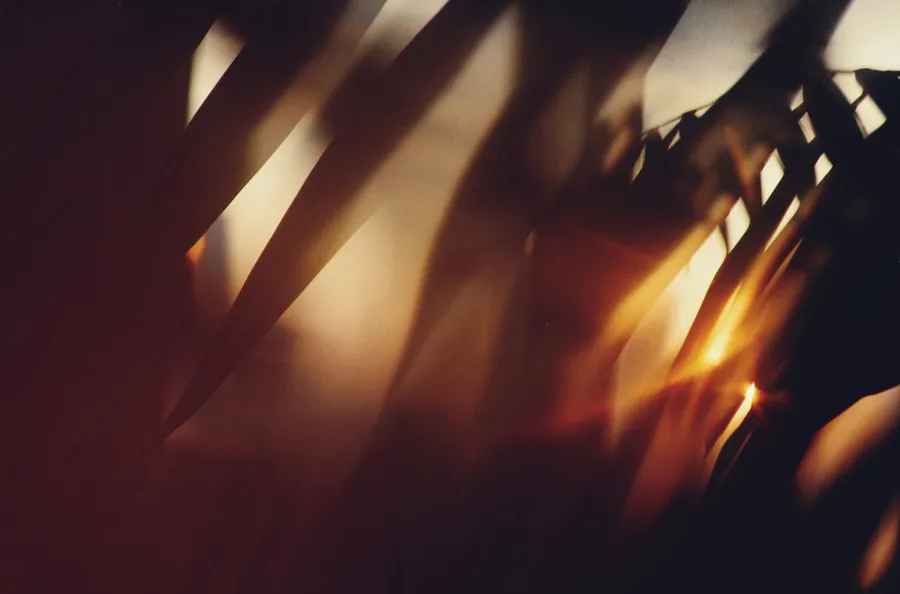 Abstract photograph of light shining through objects
