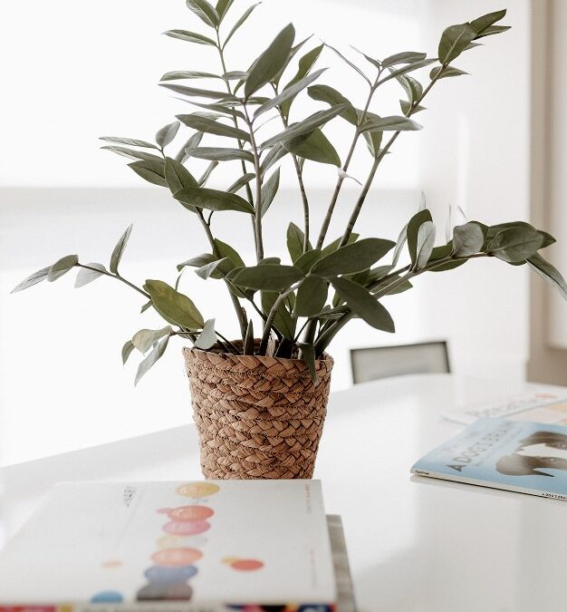 Carlsbad therapy office at Coastal Therapy Group, North San Diego County