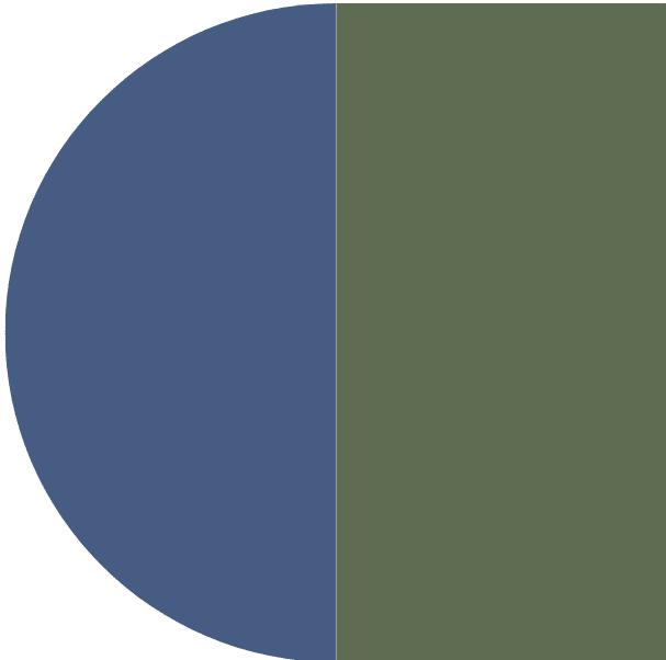 Decorative design element for Coastal Therapy Group website